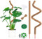 RYHX 2 Pièces Tuteur Plante, 115Cm Tuteur Plante Pliable Tuteur Plante Coco Support pour Plantes Grimpantes Extendable pour Plante Grimpantes Jardin Maison
