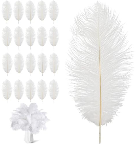 ARROMI 20 Stück Straußenfedern, Federn Weiss, Weiße Federn, Weiße Federn Zum Basteln, Weich Federn Weiss 20-25cm Feder Dekofedern DIY Basteln Zubehör für Hochzeitsdekoration Party Tischdekoration