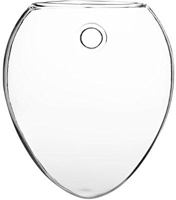 Vaso in vetro per piante e fiori per coltura idroponica da appendere a forma di cipolla transparent #6