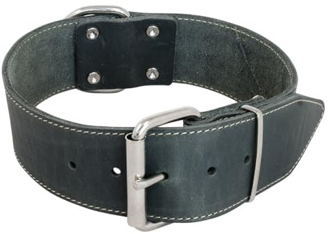 JACK AND VANILLA – Großes Hundehalsband aus Fettleder – für mittelgroße bis große Hunde – solide, langlebig, weich im Griff – moderner Look – grau, Größe 50 mm x 70 cm