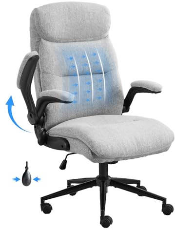 Karl home Ergonomic Office Desk Chair with Inflatable Lumbar(Grey)
