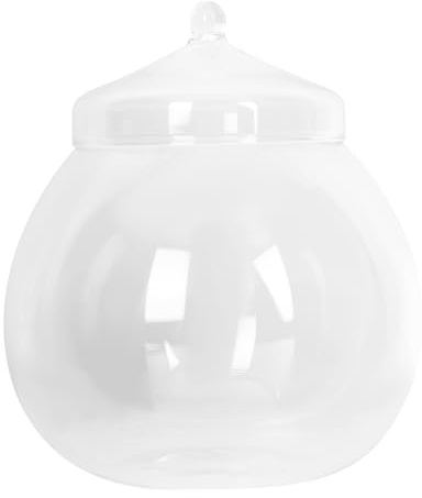 JUMPLAWN 1ensemble Bouteille Verre Vide avec Couvercle pour Micro Paysage Contenant Transparent DIY Terrarium pour Plantes Intérieur Décoration Maison et Bureau Style de Plusieurs Styles