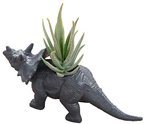 inlzdz Pots de Fleurs en Forme de Dinosaure Pot de Succulent en PVC Pot de Jardin Jardinière Décoration de Maison Bureau Cadeau de Noël Anniversaire Gris A Triceratops