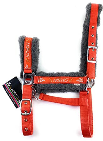 Horses, Halfter Joy, Komfortables Halfter zum Führen des Pferdes an der Hand oder zum Sichern beim Putzen, Satteln oder Transportieren (Full, Orange)