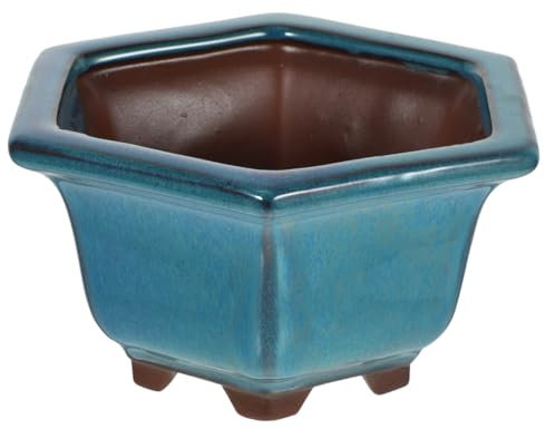 CLISPEED Pot De Céramique Émaillée Contenant pour Et Bonsai Décoration Intérieure Et Extérieure Couleur Bleu Pigeon