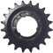 Shimano Ritzel für Getriebenaben SM-Gear 20 Zähne 2,3 mm schwarz (ACZ) für Nexus