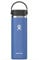 HYDRO FLASK - Gourde Isotherme 591 ml (20 oz) - Bouteille Inox à Isolation Sous Vide - Bouchon Antifuite et Revêtement par Poudre - Ouverture Large - Cascade
