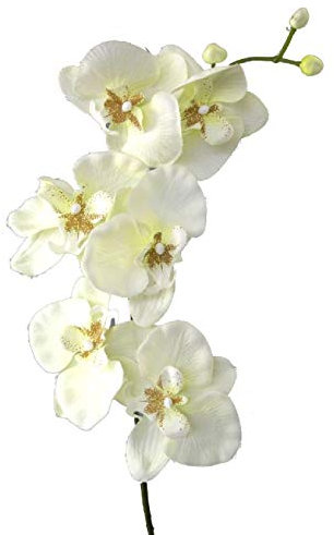 Schreiber Deko Orchideenzweig aus textiler Seide / 6 Blüten + Knospen/Creme-weiß / 78cm