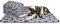 Nobleza - 6 x Hundedecke Weiche Fleecedecke Waschbare Deck für Haustier Hunde Katzen Welpen Weiche Warme Matte, Grau, 160 * 100cm