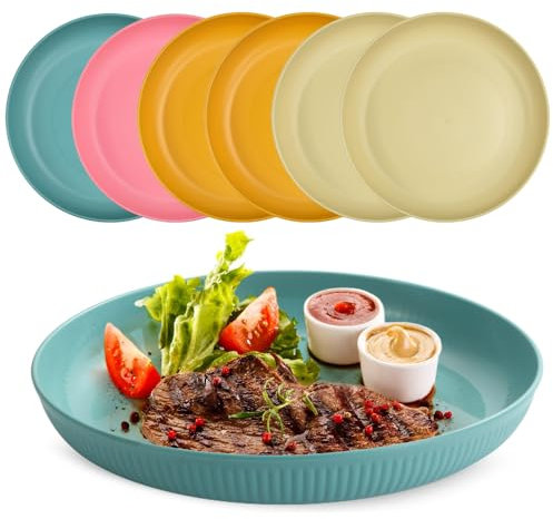 HEKOBAG Juego de 6 platos irrompibles, platos grandes de plástico de 9 pulgadas de profundidad, platos reutilizables, ligeros, aptos para lavavajillas y microondas, sin BPA para fiestas, picnics,