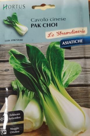 Hortus Le Straordinarie Semi di Cactus, Collezione Ortaggi, Confezione Assortita (SEMI CAVOLO CINESE PAK CHOI)