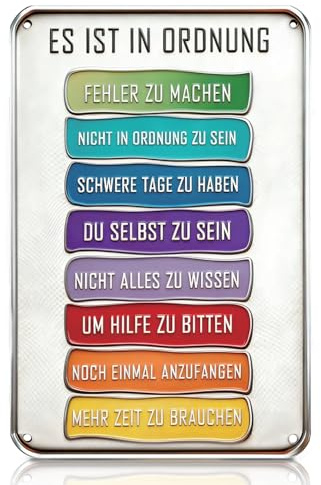Vintage Blechschilder Sprüche, Schilder mit Sprüchen „ES IST IN ORDNUNG“ aus Aluminium, Inspirierende Wanddeko, Blechschilder Retro Deko für Zuhause, Küche, Bar, Café, Freundschaft Geschenke