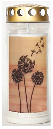 St. Jakob´s Motivkerzen - Grabkerzen in weiß mit Golddeckel und extra Langer Brenndauer - 7 Tage Wochenbrenner Grabkerzen - Friedhofskerze mit Motiv Engel