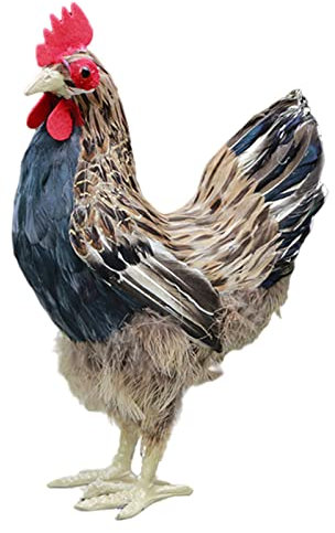 Fenteer Huhn Figur Gartenfigur Dekofiguren für Garten Haus Deko, 34cm