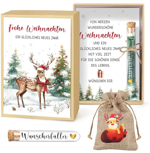 BOFUNX Weihnachten Geldgeschenk Inklusive Grußkarte Geschenkbox Kunststoff Reagenzglas Jutesäckchen für Weihnachten Geld Gutschein Verpackung Weihnacht Geschenk Nikolaus Geschenke