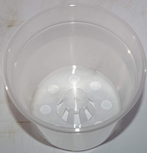 ARCA Vaso Trasparente in PLASTICA Ideale per Le Orchidee in Confezione da 3 Pezzi (12, 10)