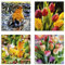 ARTLAND Wanddeko Leinwand Bilder Set 4tlg. je 30x30 cm Quadratisch Wandbilder Gemälde Natur Garten Vögel Blumen Tulpen Frühling U2XS