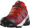 Salomon Herren Speedcross Gore-tex Trailrunning-Schuhe, Red Dahlia White Black, 46 EU