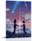 ZCHLATGDE Your Name Kimi No Na Wa Póster de Manga Pintura Decorativa Lienzo Arte de Pared Salón Póster Dormitorio Pintura, Arte de Pared Impresión de Imagen Moderna Decoración de Habitación Familiar