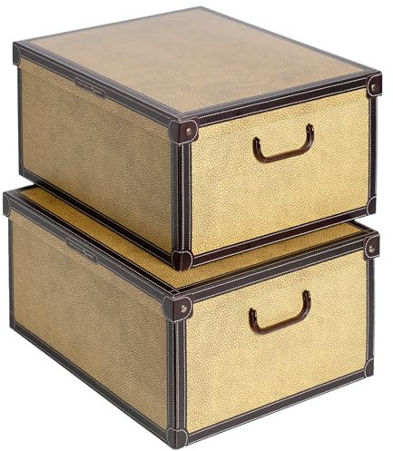 Lavatelli SET 2 Cajas organizadoras de almacenamiento ropa, almacenaje decorativas en carton, 40x50x25cm, para armario, baul, bolsas, ropa, juguetes, jardineria, con tapa, MAPA