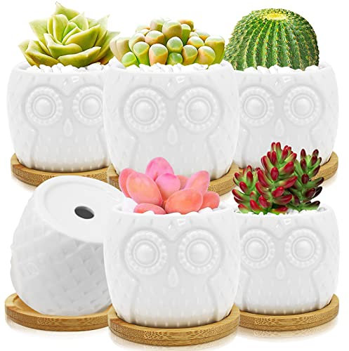 O'woda 6 Stück Mini Blumentöpfe mit Untersetzer, Mini-Eule Keramik Sukkulenten Töpfe, 8,5cm Kaktus Pflanze Töpfe für Miniaturpflanzen Sukkulenten Moos Bonsai
