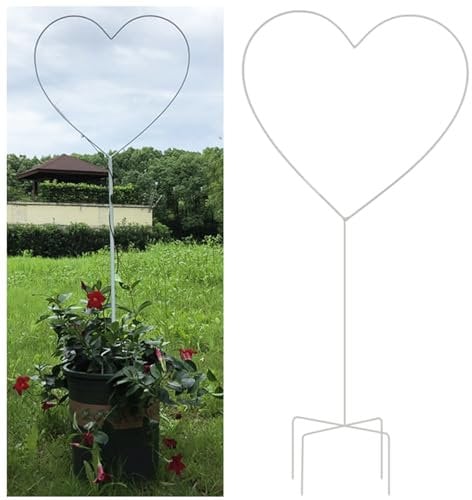 NOIRDA Rankhilfe Herz, Pflanzen Rankhilfe Rankgitter Für Topfpflanzen Für Drinnen Und Draußen, Kleine Metallgitter Für Kletterpflanzen, Gemüse, Blumen, Rosen, Clematis, Efeu(White)