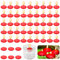 50 Stück Schwimmkerzen, Unparfümierte Schwimmkerzen, Tropffreies Teelicht Kerze Home Decor, Geeignet für zylindrische Vasen, Hochzeiten, Partys und Pool-Center-Dekorationen (50PCS/Red)