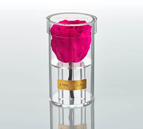 EG EMMIE GRAY Crystal Infinity | Acryl | – Traumhafte Infinity Rose, 1-3 Jahre haltbare Rose, Acrylgefäß mit echter, konservierter Rose, edle Premiumrose (Hot Pink)