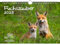 Fuchszauber DIN A4 Kalender für 2025 Fuchs und Füchse - Geschenkset Inhalt: 1x Kalender 1x Weihnachtsanhänger 1x Grußanhänger (gesamt 3 Teile)