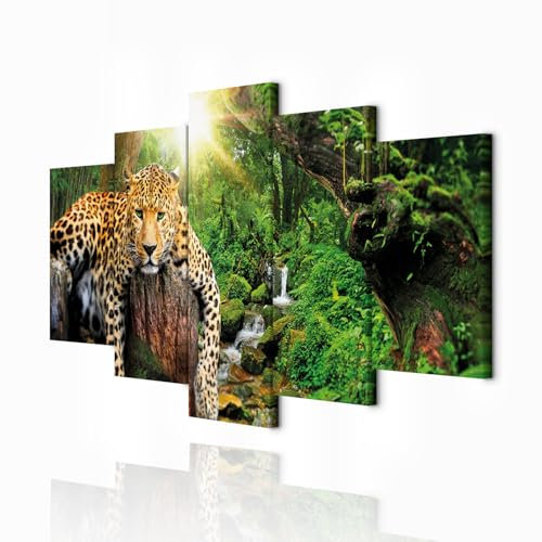 decomonkey Bilder Tiere 200x100 cm 5 Teilig Wandbild Groß Leinwandbild XXL Deko Wohnzimmer Schlafzimmer Büro Wanddeko Leinwand Pictures For Wall Poster Wall Painting Wandbilder Set Natur Abstrakte