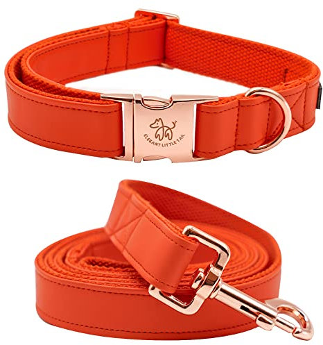 Elegant little tail Hundehalsband und Leine aus Leder, langlebiges Hundehalsband für den Herbst, Haustierhalsband für Mädchen oder Jungen, verstellbares Hundehalsband für kleine Hunde