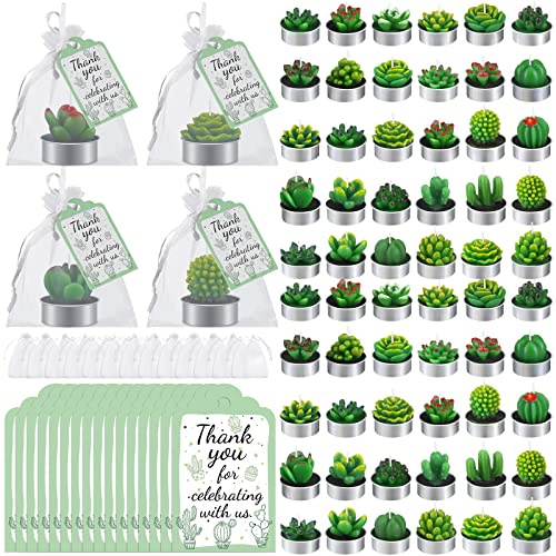 Lounsweer 60 Stück Sukkulenten Kaktus Kerzen Bulk Mini Teelicht Sukkulenten Kerzen rauchfreie duftende Teelichter Kerzen mit 60 Dankeschön-Geschenkanhänger 60 Organza-Beutel für Hochzeit Babyparty