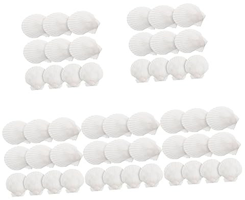 Healeved 50 Stück Sushi-Schalen Zum Basteln Jakobsmuscheln Muscheln Tablett Backen Meereshonig Orangenschalen Nautisches Dippen Schnecken Muscheln Obst Dessertform Grillen