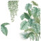 4 Pièces Autocollant Mural Plante Verte, Sticker Mural Plante Tropicale, Convient pour Chambre à Coucher, Salon, Salle à Manger, Mur de Fond de Télévision, Couloir, Bureau, Magasin, Etc