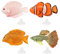 Binnan 4Pcs Faux Poisson en Silicone, Poissons Artificiels Décoratifs pour Aquarium Faux Poisson Artificiel en Mouvement, Multicolores