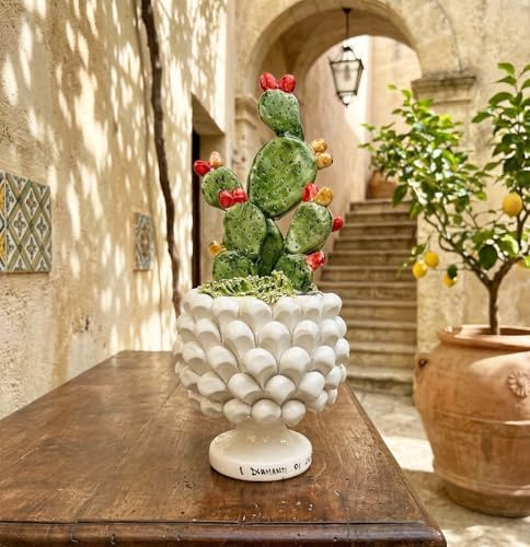 Mondocreazioni Vasetto Mezza Pigna con Piantina Ficodindia in Ceramica Siciliana di Caltagirone Realizzato a Mano