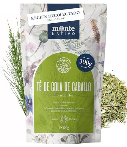 Еquiseto Тisana Monte Nativo (300g) - Erbe aromatiche senza additivi - Infusi e tisane per la tazza di tè più deliziosa - Raccolte ed Essiccate Delicatamente - Tè alle erbe aromatico - Herbal Tea