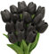 N&T NIETING Künstliche Tulpen Gefälschte Blumen, 12 Stück Latex Real Touch Faux Tulpen Blumen für DIY Hochzeit Home Garten Hotel Party Büro Dekoration (Schwarz)