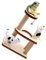 Gatuida 1juego Mini Casa De Madera Árbol De para Gatos Accesorio Decorativo De Juguete De Gato y Cubierta Transparente