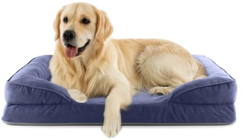 Lumaland orthopädisches Hundebett aus Cord | ergonomisches Hundesofa 110x75 cm - für große Hunde | Boden rutschfest | Füllung und Bezug waschbar | Hundekörbchen mit Memory Schaumstoff