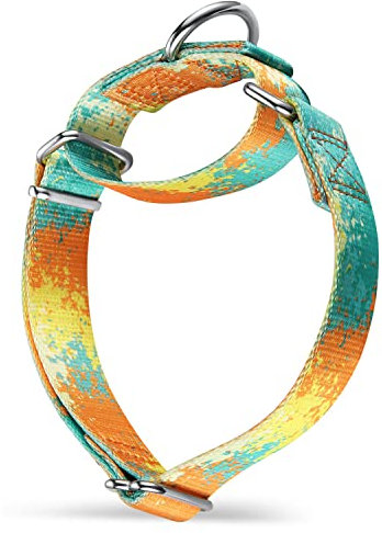 Dazzber Martingale Hundehalsbänder Bunte Ölgemälde Muster Serie - No Pull Haustierhalsband Seidig weich für mittlere und große Hunde (Groß, 2,5 cm breit, Wüsten und Oasen)