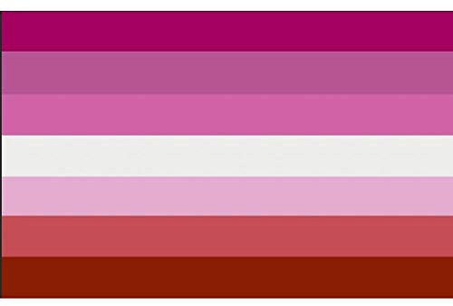 TOSSPER Lesbian Pride Flag Lesbian Geschenke | Lichtbeständige Farbstoff Für Vivid Color 100% Super-Polyester Material -Complete Set Stolz-Fahne 3 * 5 Ft