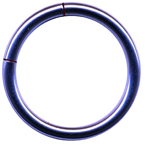 TITAN G23 SEGMENTRING Piercing Ring Segment EDELSTAHL CHIRURGENSTAHL 316L Nase Septum Ohr Helix Lippe Augenbraue Intim Brust Tragus Piercingring Nasenring (1.2 mm x 10 mm, Stahl Lavendel Metallic)