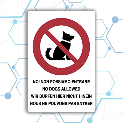 Nitek cartello noi cani non possiamo entrare in PVC 30cm x 20cm– Cartello autoadesivo| Sign,Schild | Impermeabili Lavabili, pizzeria, bottega