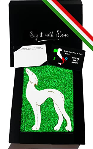 Windhund aus Stein Handgemacht in Italien - Inklusive Geschenkkarton und leere Nachrichtenkarte - Symbol für Hingabe, Schutz, Loyalität, Freundschaft und Liebe - Hundeliebhaber Geschenkidee