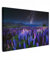 MuchoWow© Leinwandbild Groß 120x80 cm XXL Dekoration Wohnzimmer Bilder Aufhängen Wall Decoration Living Room Wohnungs Deko Moderne Blumen - Nacht - Lupinen - Sternenhimmel - Lila - Bild Natur