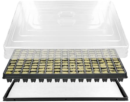 GREEN24 Anzuchthaus STW-150 inkl. 150 Steinwollewürfel 25x25x40mm - Anzuchthaus Steinwolle für Pflanzenanzucht und Hydroponik - Für Samen, Saatgut und Stecklinge
