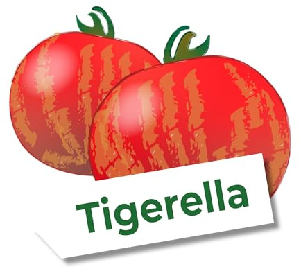 Tomatensamen Tigerella – gestreifte, rot-orange Stabtomate mit fruchtig-würzigem Geschmack | Alte, samenfeste Sorte | ca. 25 Samen – nachhaltig & plastikfrei verpackt | Love My Nature