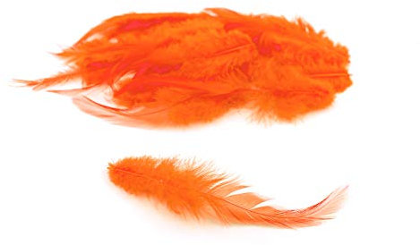 3g Hahnenkreuz Federn ca. 8-13cm (orange 668) // Dekofedern Bastelfedern Federn Hahn Natur Schmuckfedern Vogelfedern Hahnenfedern