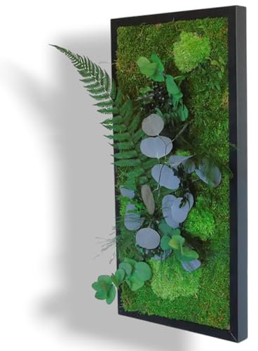 Myvegetal HM tableau végétal stabilisés eucalyptus sans entretiens - tableau de plantes et décoration murale d'intérieur, plantes et fleurs éternel made in France, 52 x 23 cm